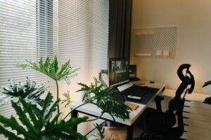 Tips for Creating a Productive Home Office Environment